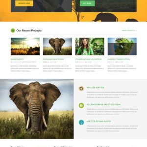 Nonprofit Website Development 1 by Esygma